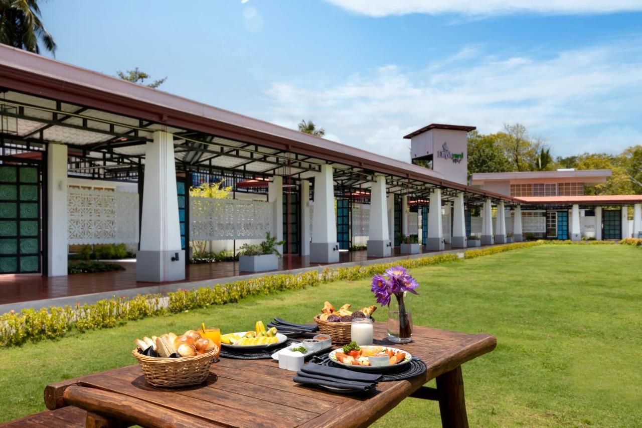 Elephyard Retreat Hotel Mahiyanganaya Bagian luar foto