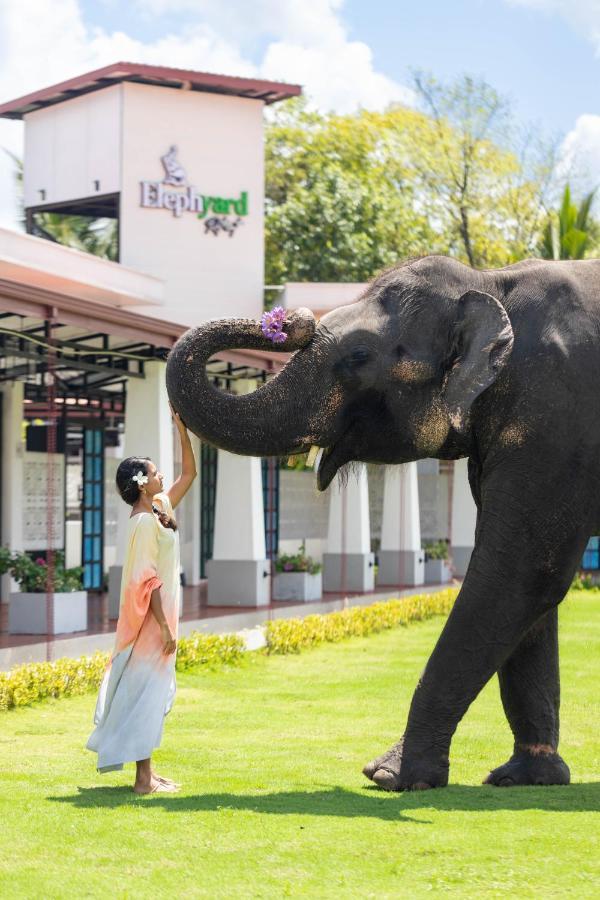 Elephyard Retreat Hotel Mahiyanganaya Bagian luar foto